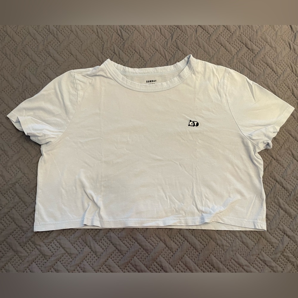 Aritzia Sunday Best Crop Top